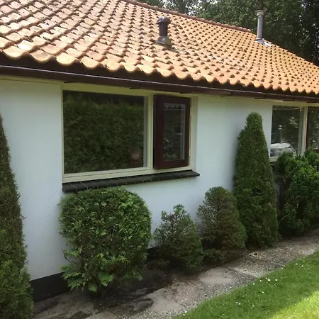 Vlakbij De Duinen * Oostvoorne