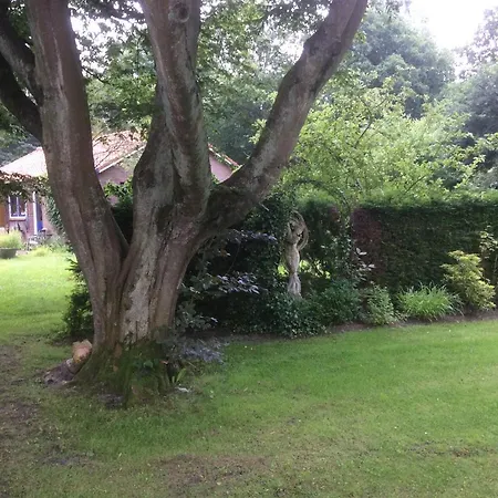 Apartamento Vlakbij De Duinen