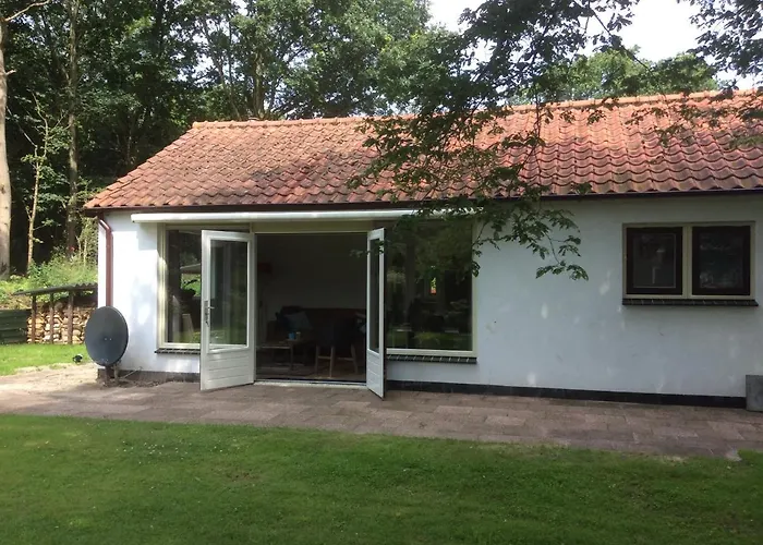 Apartamento Vlakbij De Duinen *