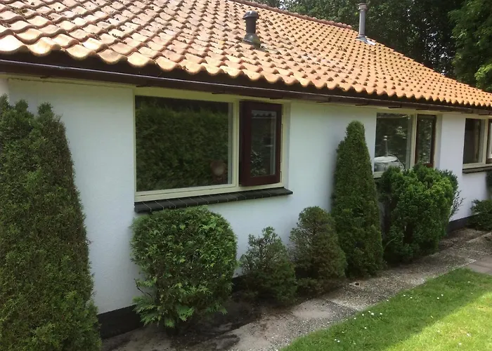 Vlakbij De Duinen * Oostvoorne